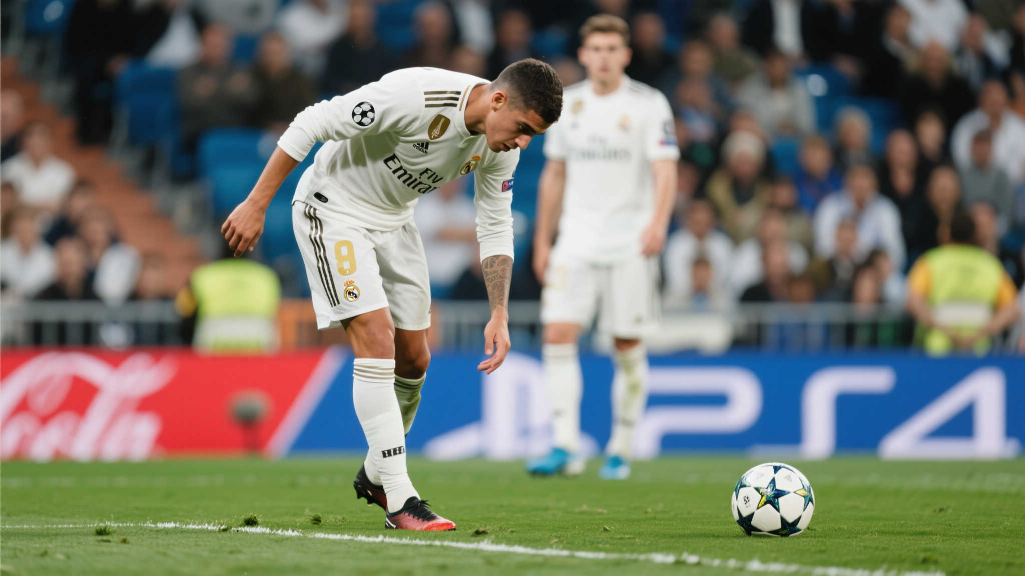 乐鱼体育APP下载概况简介